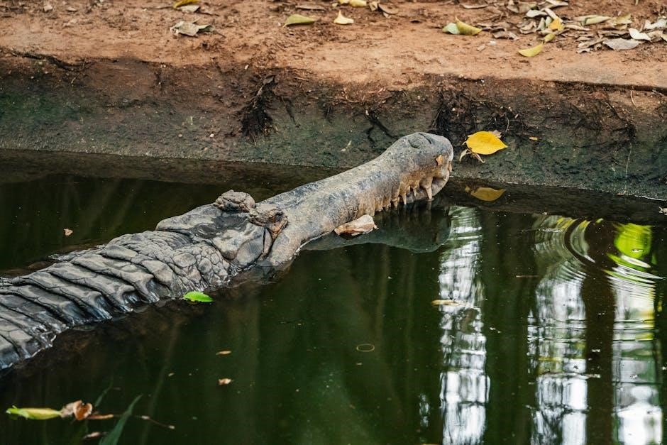 the language of medicine 11th edition pdf free download