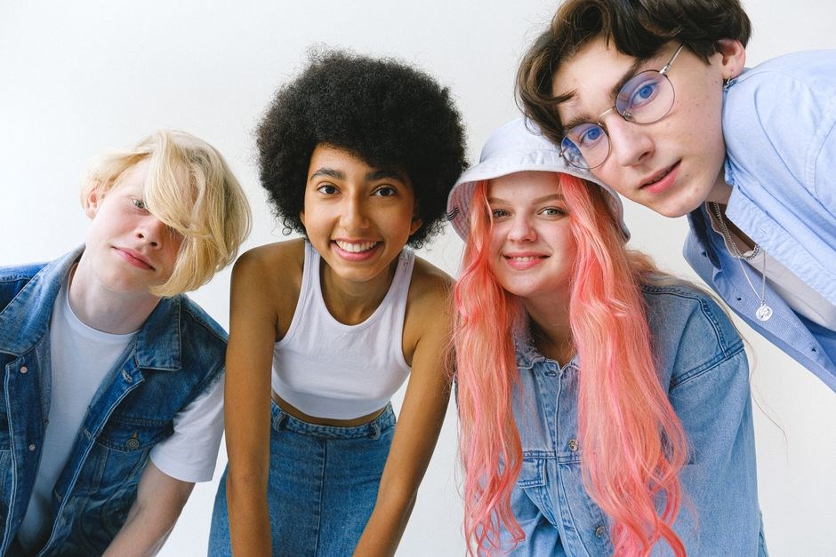 the field guide to the north american teenager